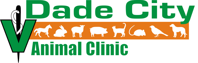 Dade City Animal Clinic